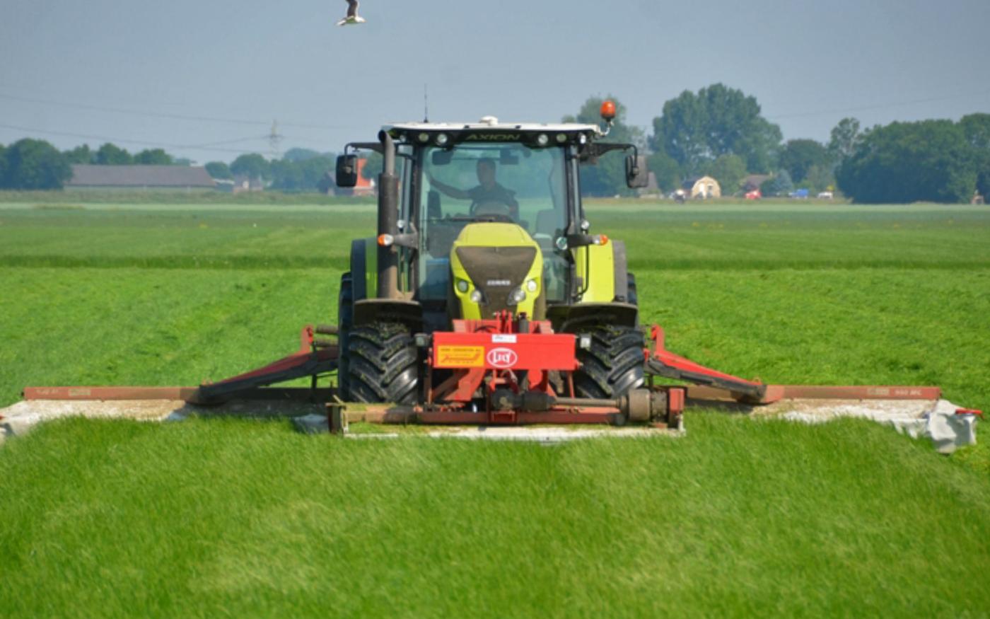 Mei op de boerderij: groei, gras en vooruitzichten