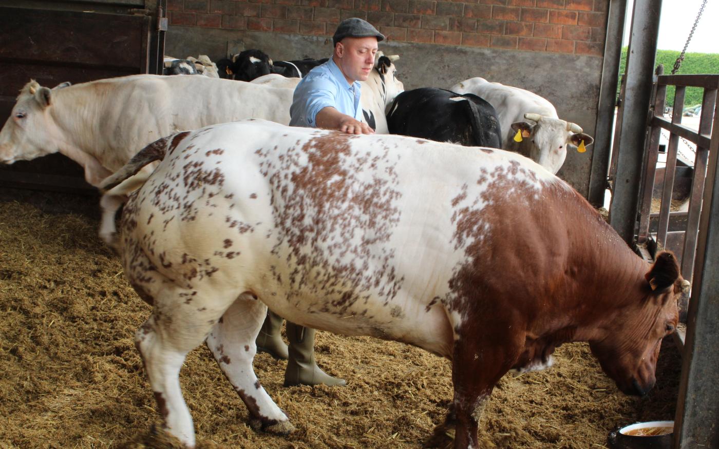 Novembre à la ferme : rentrer le troupeau, ajuster les rations et préparer l’hiver
