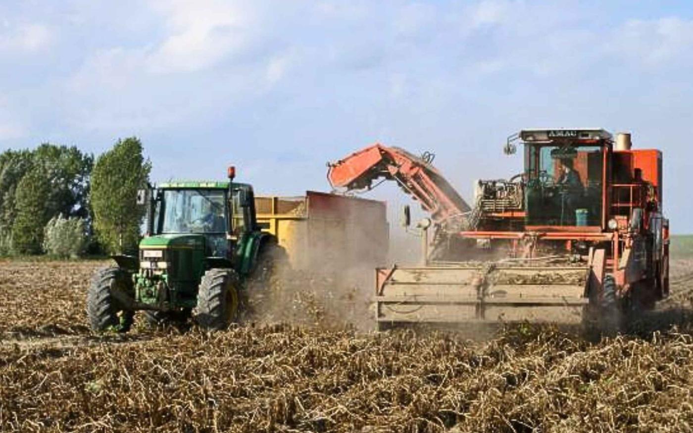 September op de boerderij: oogsten en vooruit plannen