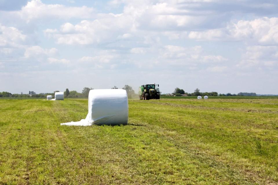 Gras inkuilen voor onze grasgevoederde koeien