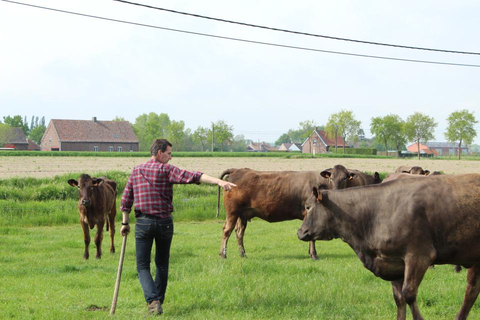 Viande issue de circuits courts : des avantages pour le goût et les agriculteurs