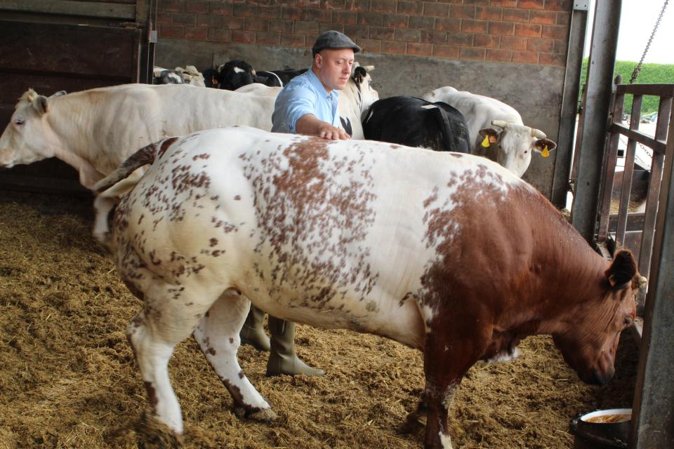 November op de boerderij: binnen zetten, bijsturen en winterklaar maken