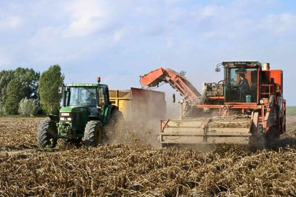 september op de boerderij: oogsten en vooruit plannen