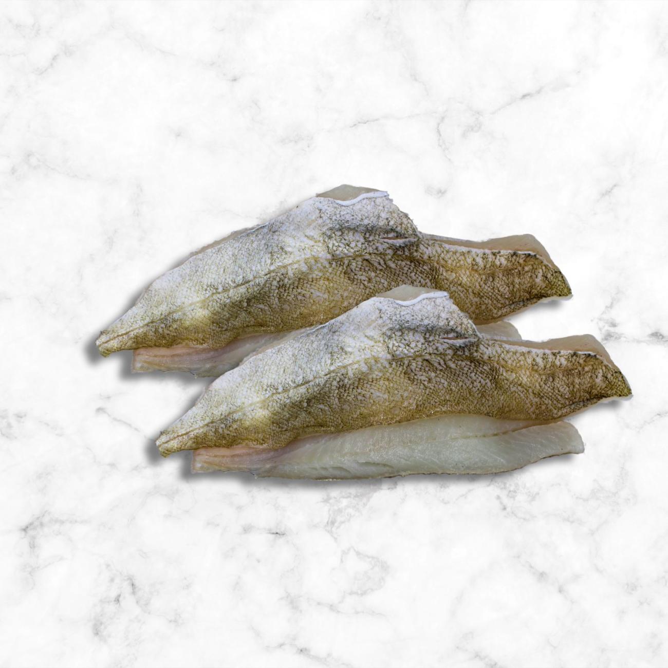 Steenbolkfilet