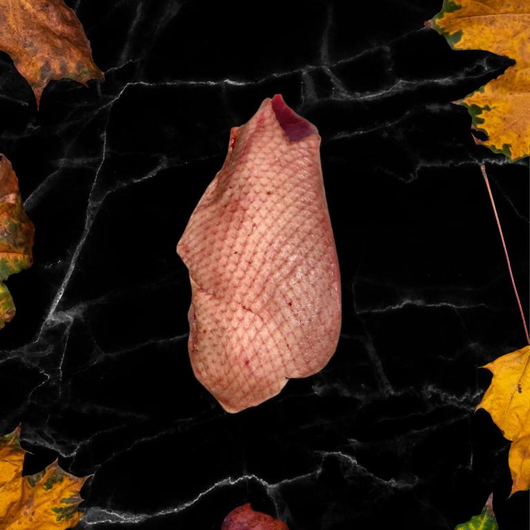 Filet de canard sauvage avec peau