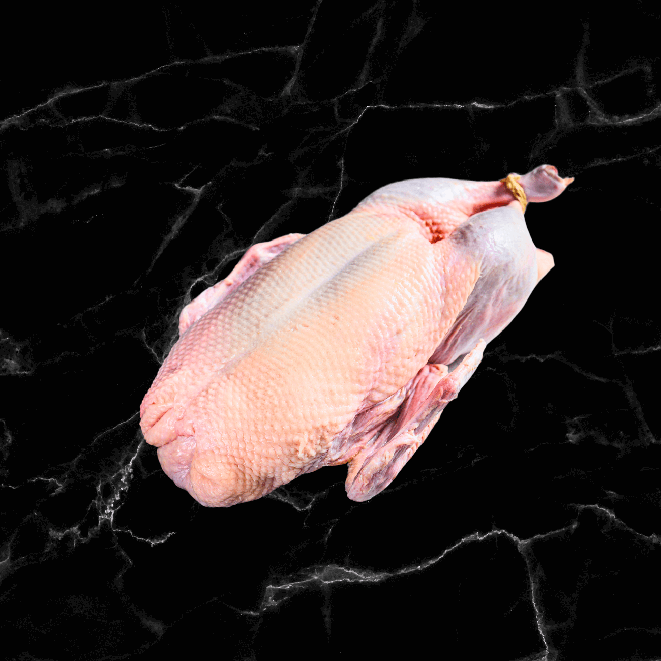 Pintade
